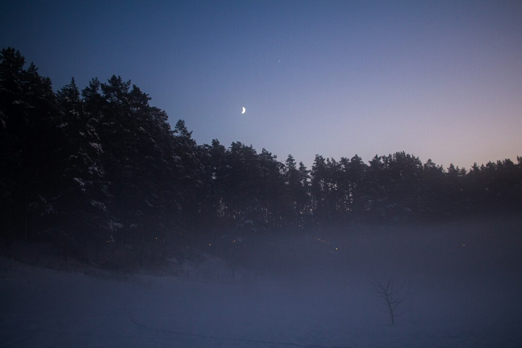 foggy forest at night
